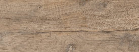 Nebraska Elm | Xana System